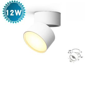 LED Folding Living Room Ceiling Lamp (Option: White 12W-Warm light)