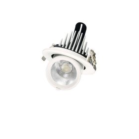 Elephant Trunk Light Recessed Spotlight (Option: Elephant Trunk Light 40W-6000K white light)